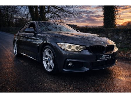 2017 BMW 4 Series 420d M Sport Auto €19,850 thumbnail