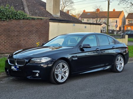 2014 BMW 5 Series - thumbnail 10