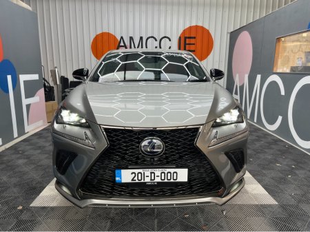 2020 Lexus NX 350h - photo 6