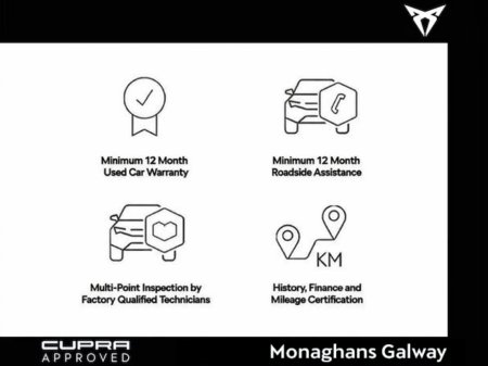 2026 Cupra Terramar - thumbnail 8