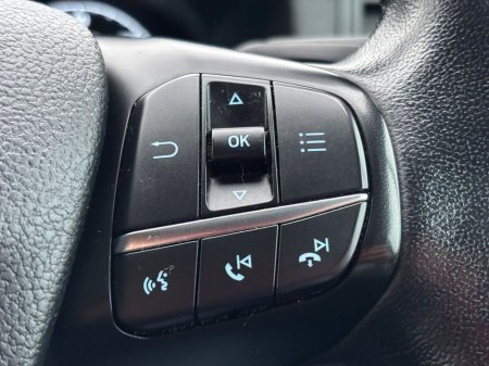 2022 Ford Transit 460 LEADER ECOBLU ECOBLUE €26,369 thumbnail