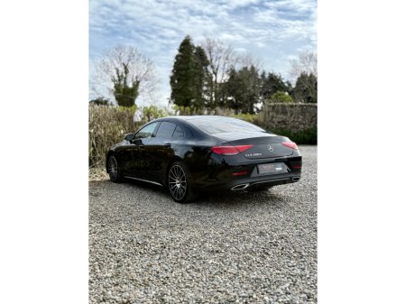 2019 Mercedes-Benz CLS Class - thumbnail 10