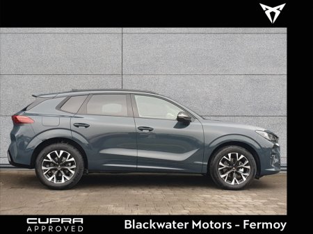 2026 Cupra Terramar - thumbnail 16