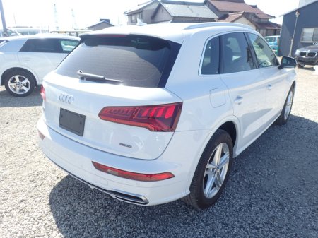 2019 Audi Q5 2.0 TDI S-LINE PLUS EDITION QUATTRO DIESEL AUTOMATIC €32,950 thumbnail