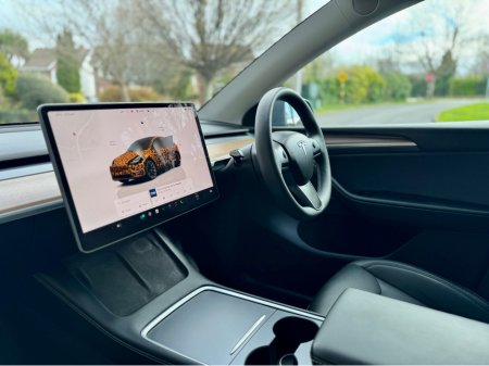 2024 Tesla Model Y - thumbnail 19