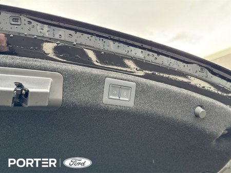 2025 BYD Seal - thumbnail 15