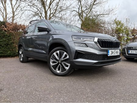 2024 Skoda Karoq - photo 3