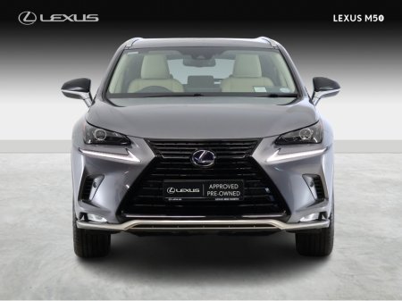 2021 Lexus NX 300 h - thumbnail 7