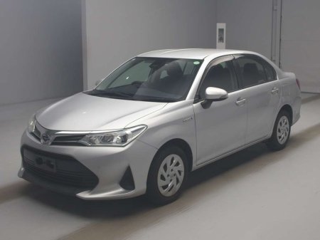 2019 Toyota Corolla Coming Soon