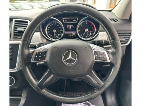 2014 Mercedes-Benz M Class - thumbnail 21