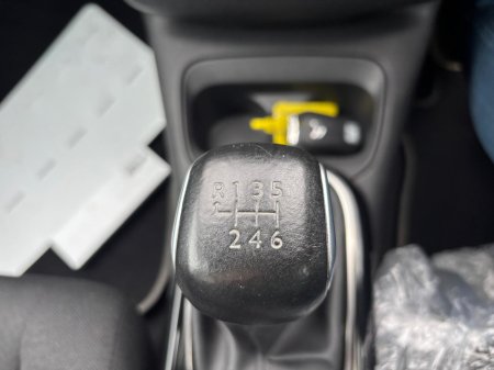 2021 Citroen C4 CACTUS FLAIR BLUEHDI 100 4DR €18,950