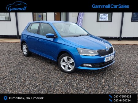 2018 Skoda Fabia LOW MILES AMBITON 1.0 TSI 110HP DSG 4DR A €14,800 thumbnail