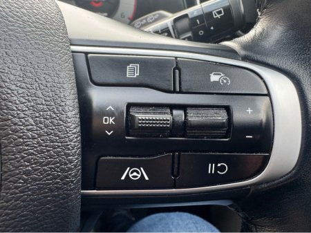 2023 Kia Sportage - thumbnail 36