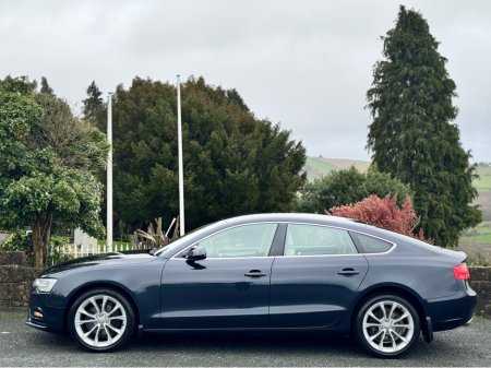 2014 Audi A5 2.0TDI 6SPD MANUAL SPORTBACK €9,950 thumbnail