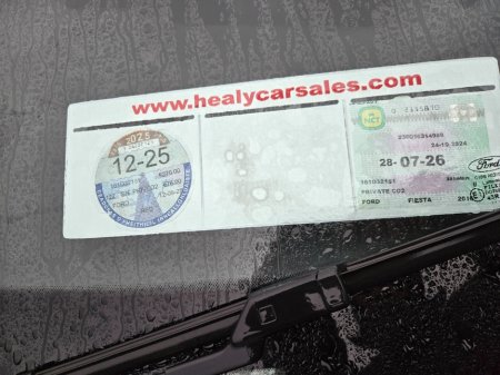 2016 Ford Fiesta 1.25 60PS Zetec €9,800 thumbnail