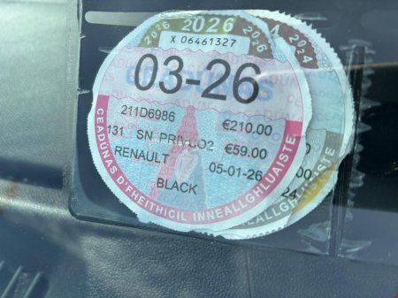 2021 Renault Kadjar - photo 5