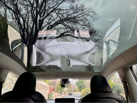 2024 Tesla Model Y - thumbnail 18