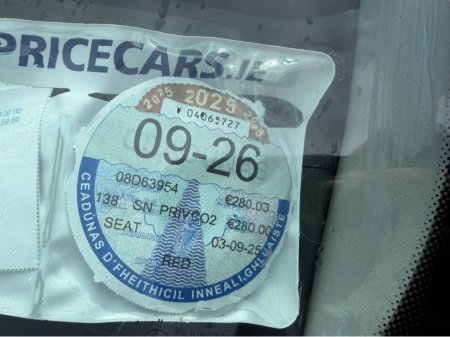 2008 SEAT Ibiza - photo 4