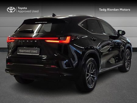 2024 Lexus NX 300 h - photo 2