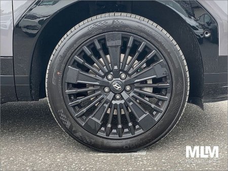 2025 Hyundai Santa Fe 1.6 PHEV 4WD Premium Calligraphy €63,995 thumbnail