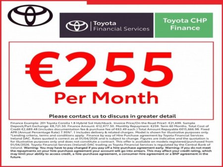 2019 Toyota Corolla - view 4