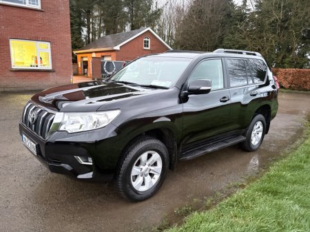 2019 Toyota Landcruiser - thumbnail 4