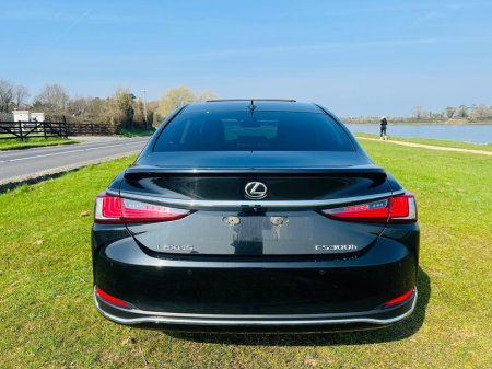 2023 Lexus ES 300 H - thumbnail 15