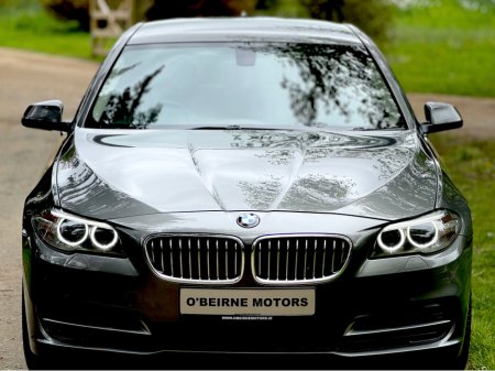 2015 BMW 5 Series - thumbnail 17