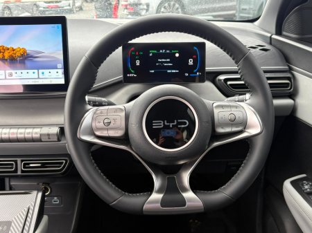 2025 BYD Dolphin Surf - thumbnail 15