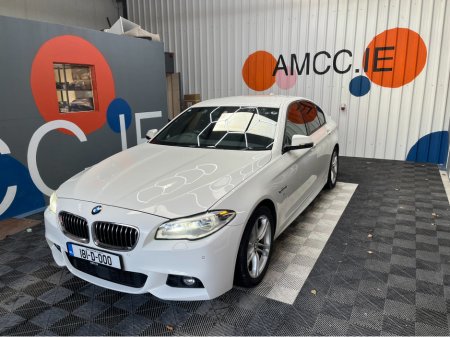 2017 BMW 5 Series - thumbnail 6