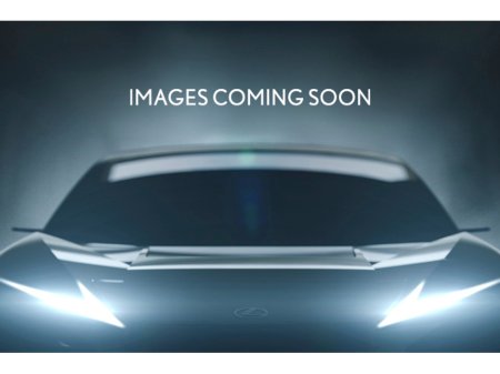2022 Lexus NX 450 h+ Executive