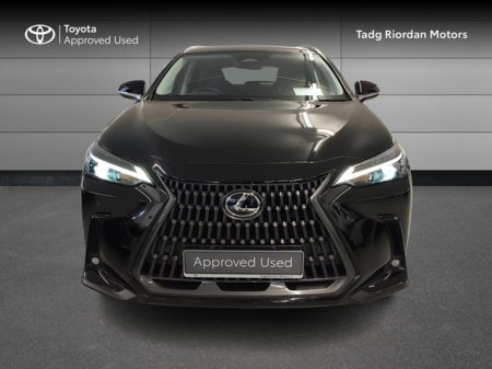 2024 Lexus NX 300 h - photo 5