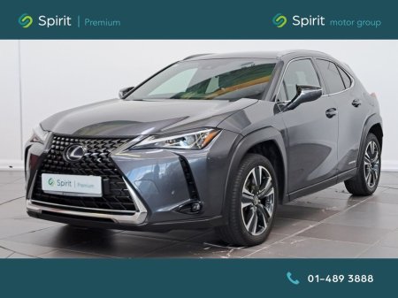 2022 Lexus UX 300 e - thumbnail 10