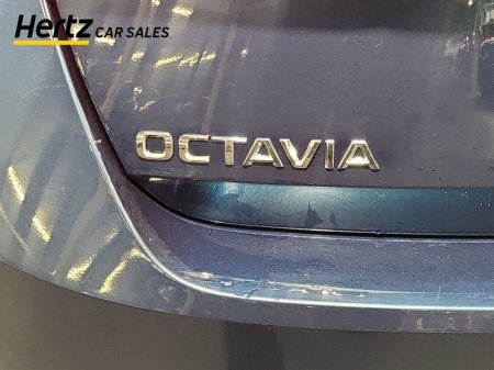 2024 Skoda Octavia - thumbnail 11