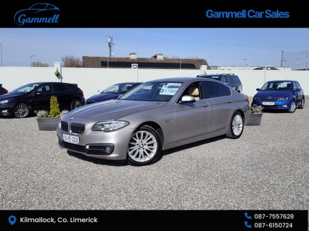 2015 BMW 5 Series - thumbnail 5