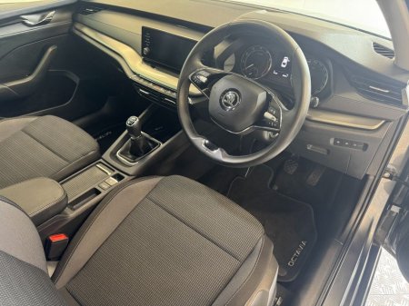 2024 Skoda Octavia - thumbnail 6