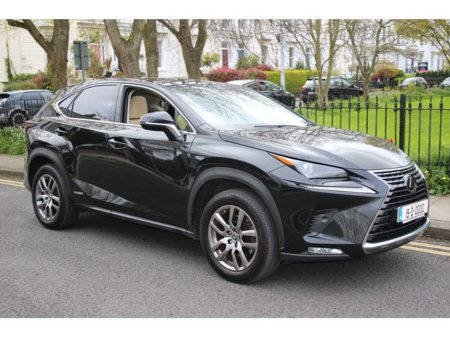 2019 Lexus NX 300 h - view 2