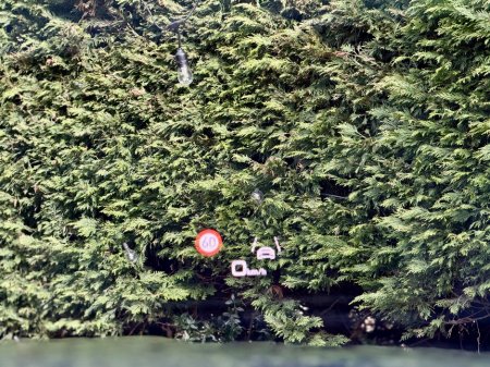 2024 Audi A8 - thumbnail 20