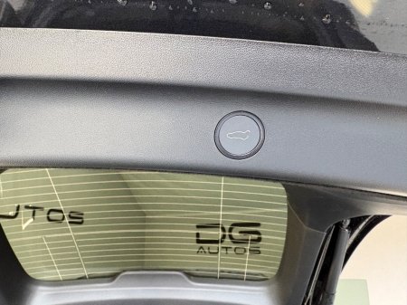 2026 Tesla Model Y - thumbnail 9