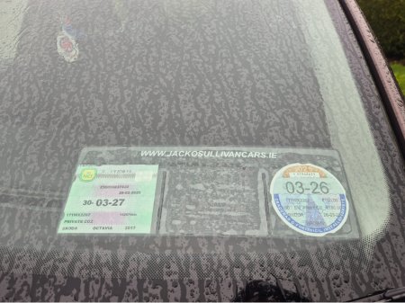2017 Skoda Octavia - thumbnail 15