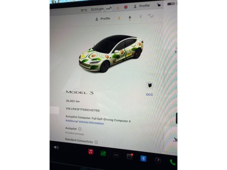 2025 Tesla Model 3 - thumbnail 25