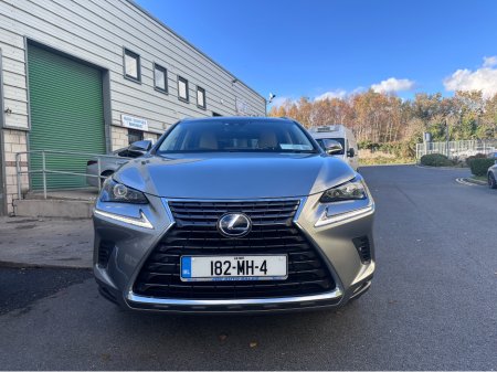 2018 Lexus NX 300 h - view 4