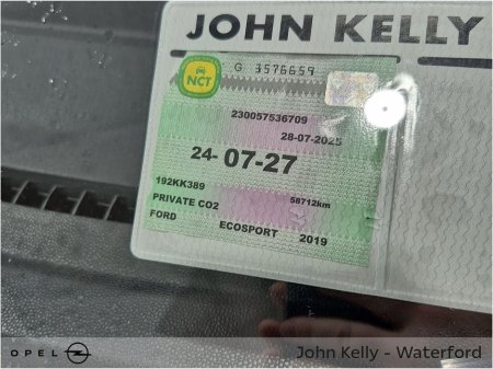 2019 Ford Ecosport - thumbnail 13