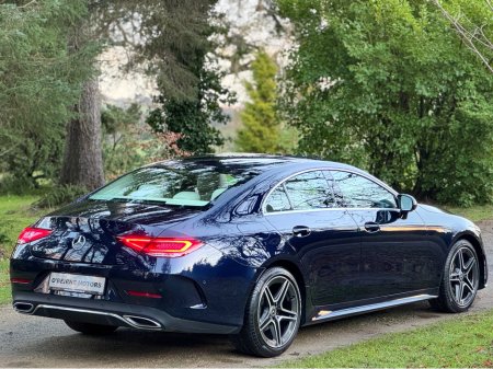 2019 Mercedes-Benz CLS Class - thumbnail 11