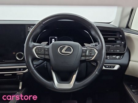 2023 Lexus RX 450 h - thumbnail 20