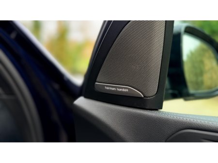 2021 BMW X5 2021 (211)  BMW X5 45e M Sport Pro 390bhp €46,999 thumbnail