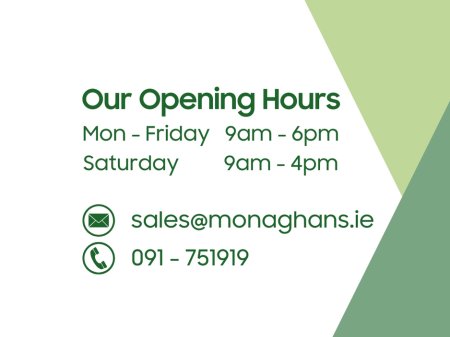 2017 Ford Fiesta - thumbnail 2