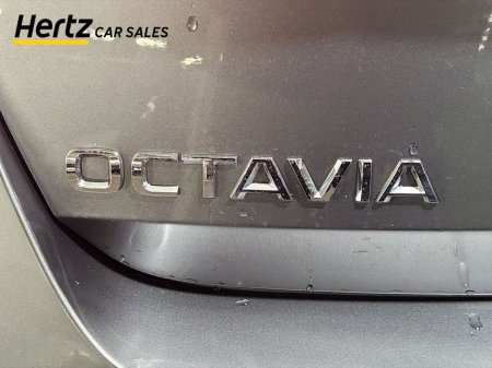 2024 Skoda Octavia - thumbnail 11