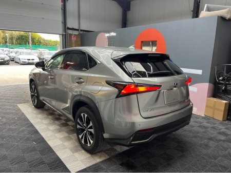 2020 Lexus NX 350h - photo 4