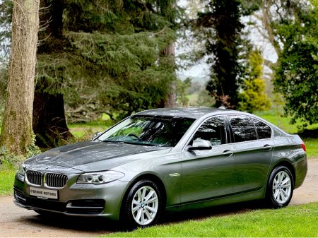 2015 BMW 5 Series - thumbnail 18